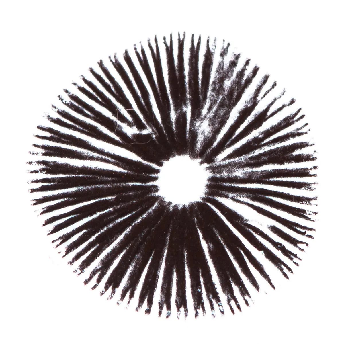 Wysiew zarodników Psilocybe Cubensis Golden Teacher