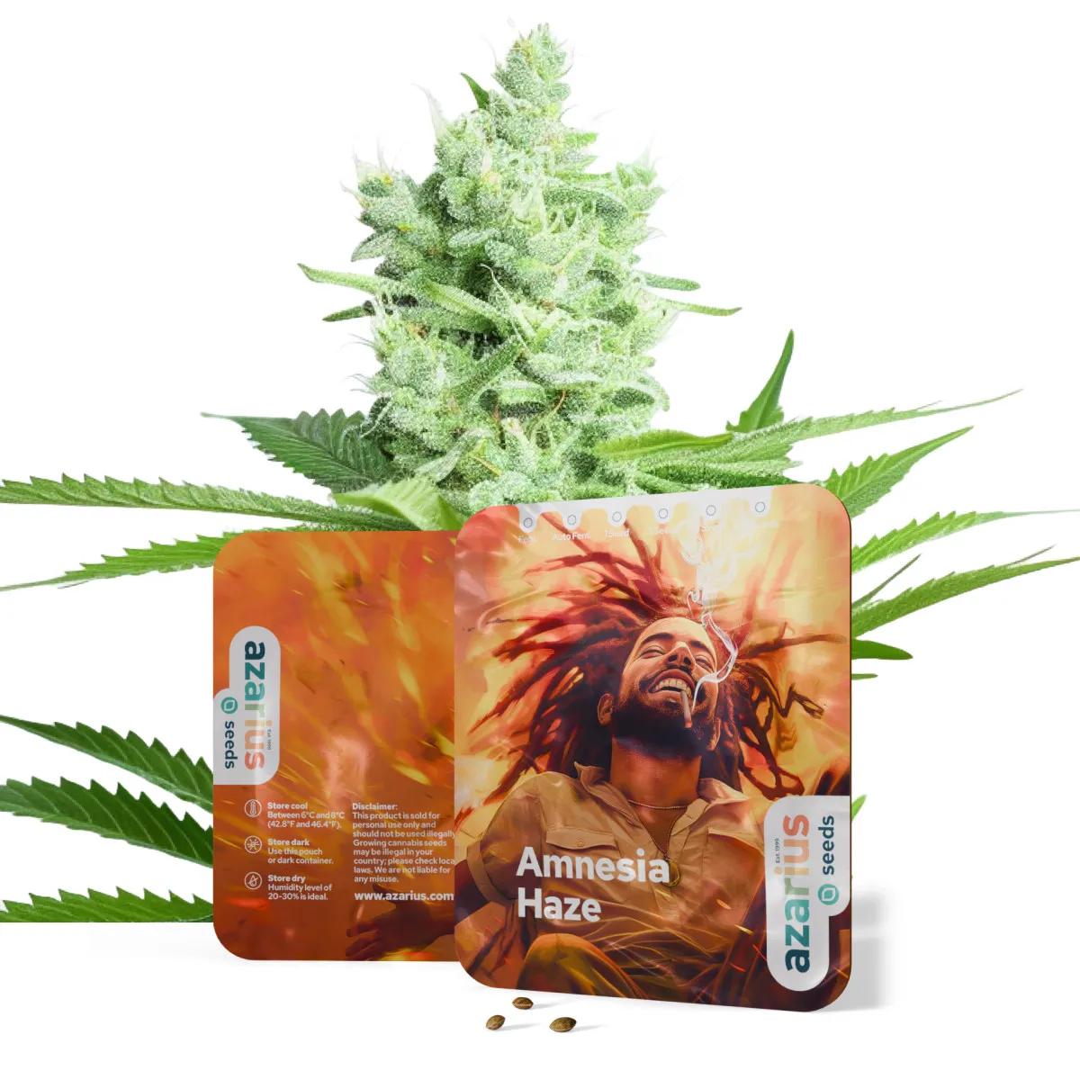 Amnesia Haze Auto