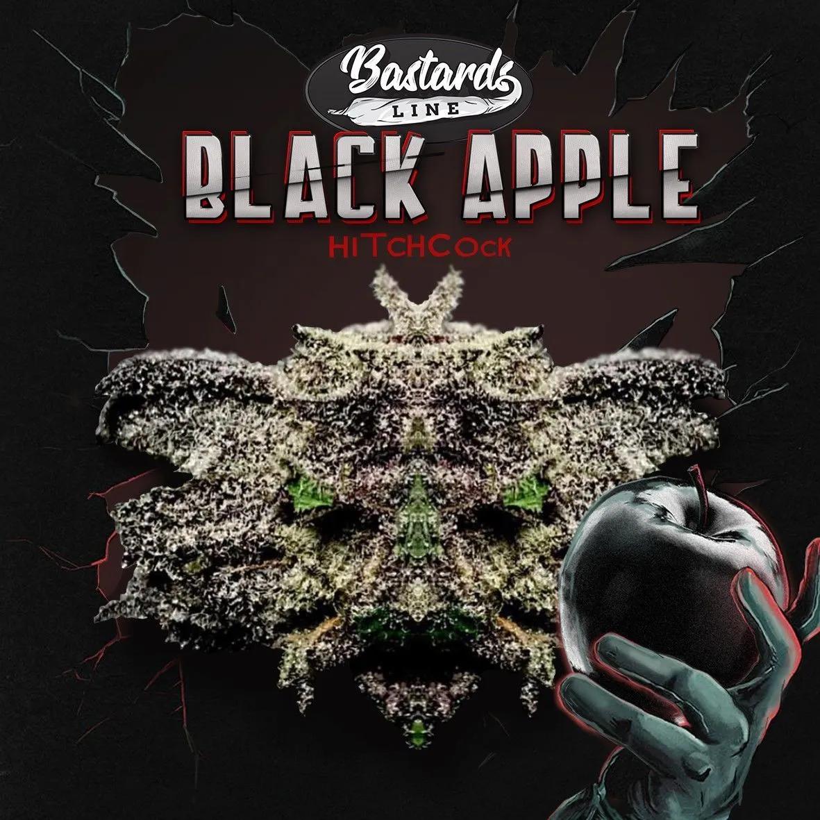 Black Apple Hitchcock (T.H.Seeds)