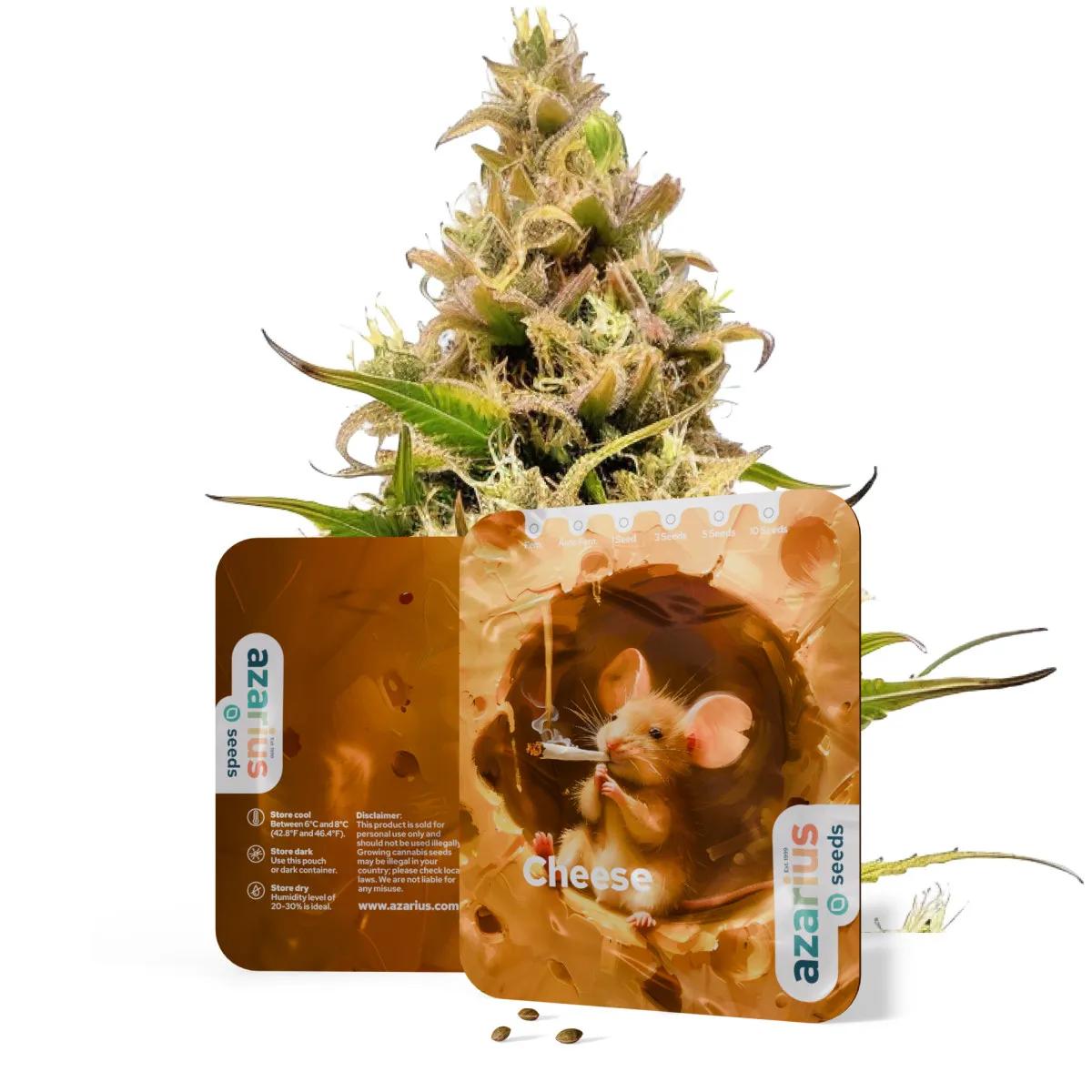 Cheese Auto
