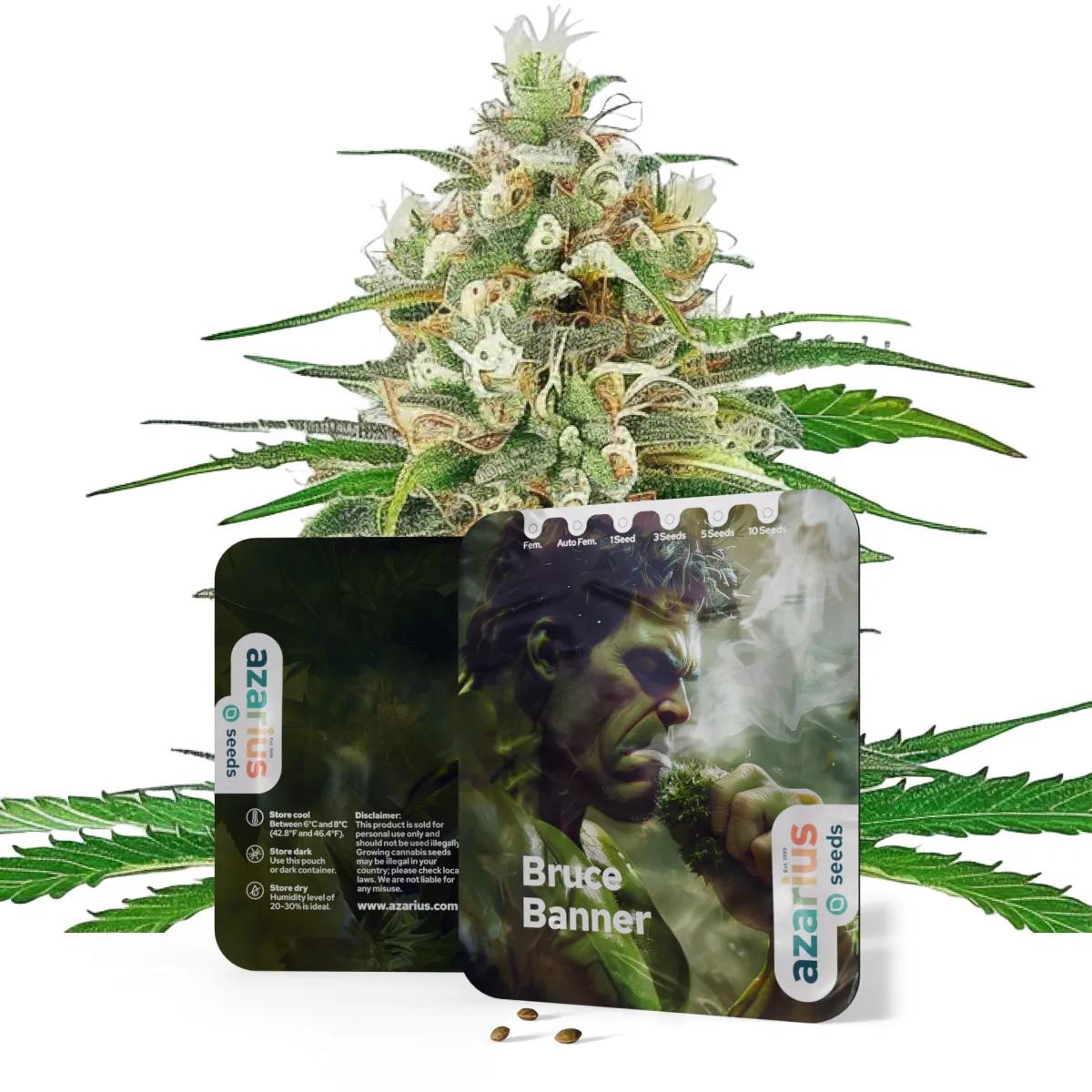 Free Feminized Seeds