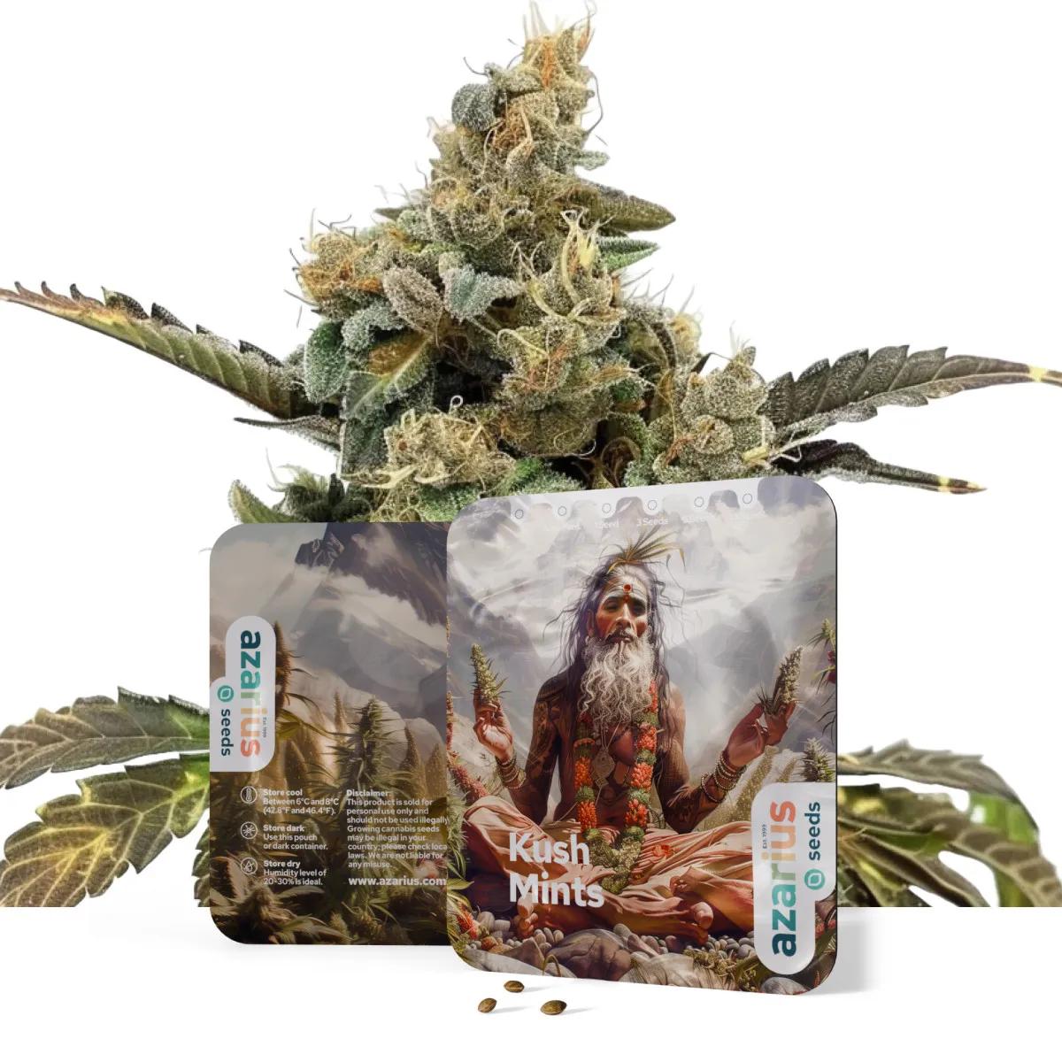 Kush Mints Auto