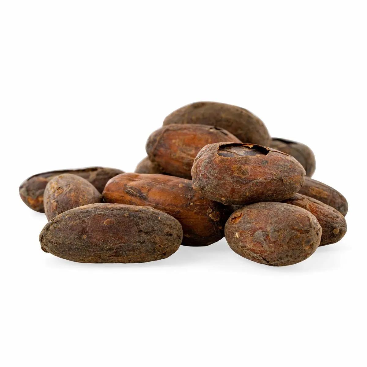 RAW Surowe Ziarna Kakaowca Organiczne