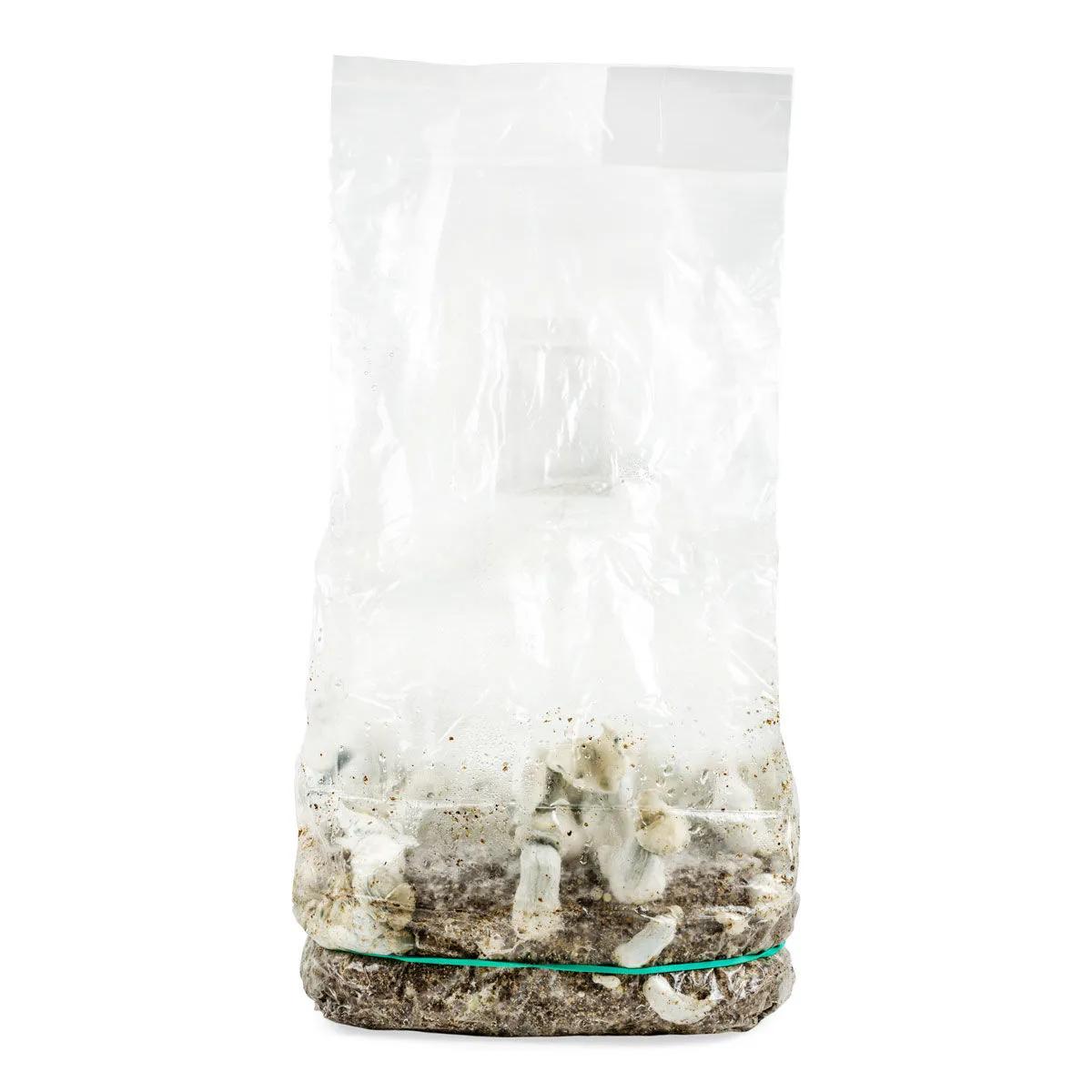 Zestaw uprawowy Ready-2-Grow 'Jack Rabbit'