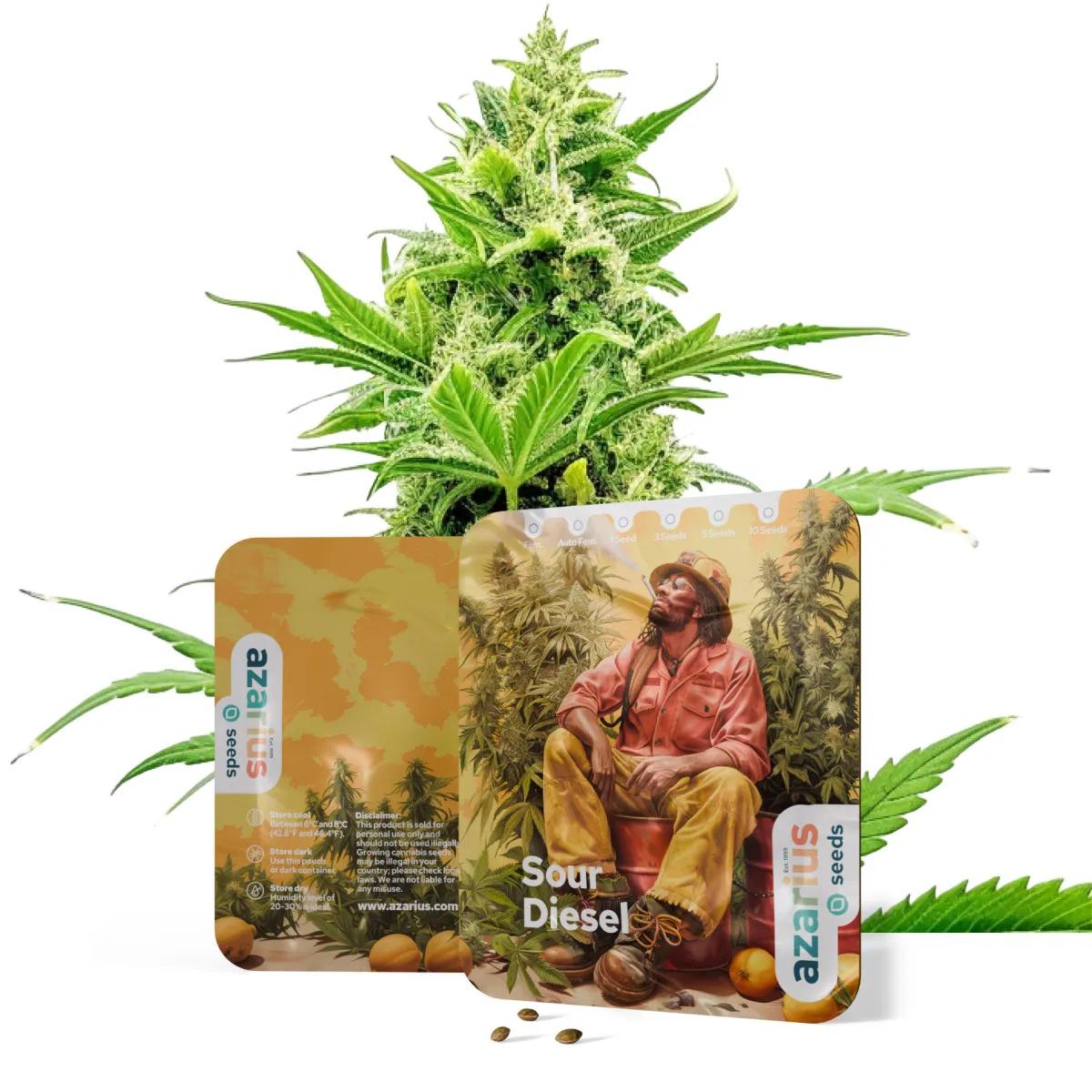 Sour Diesel