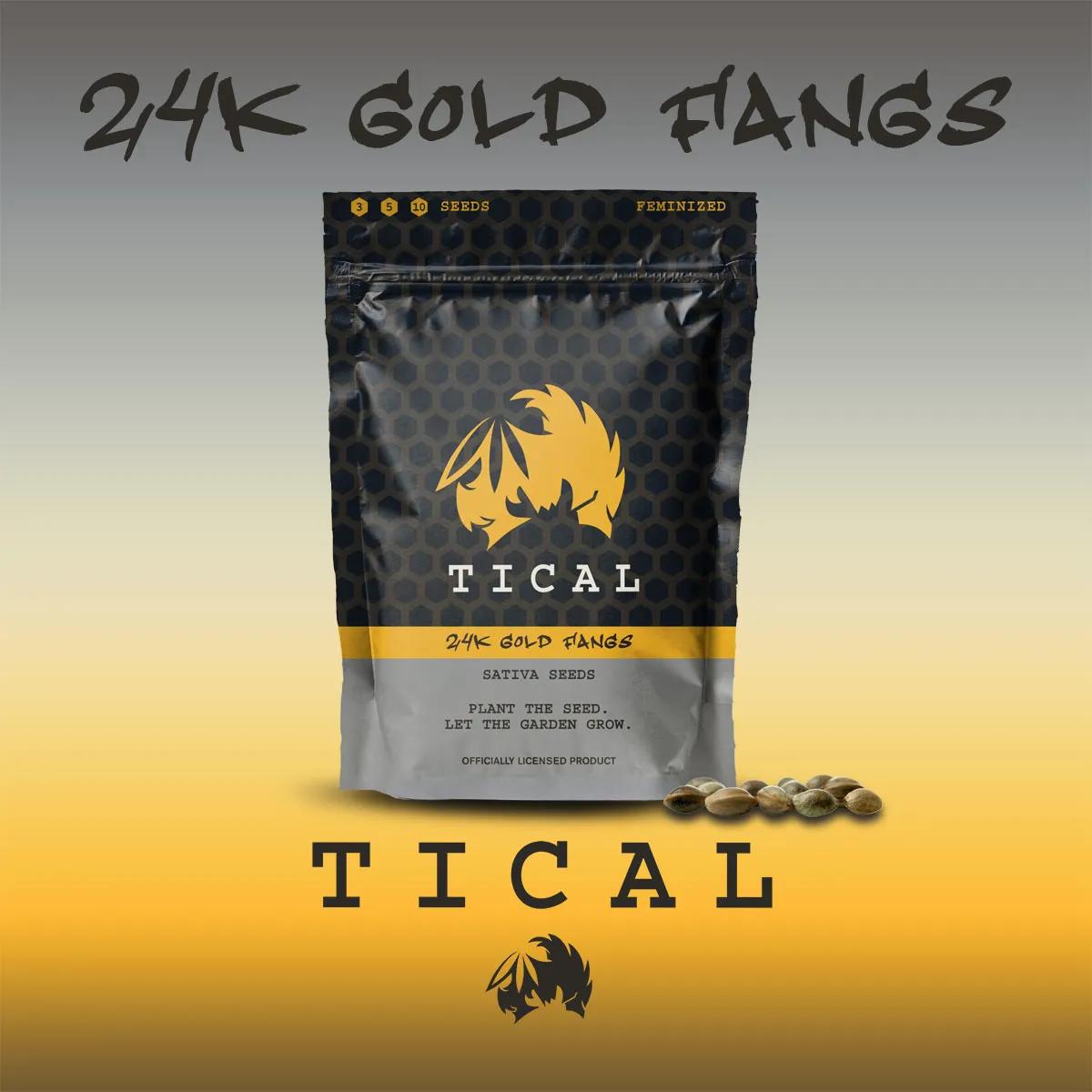 24K Gold Fangs (TICAL)