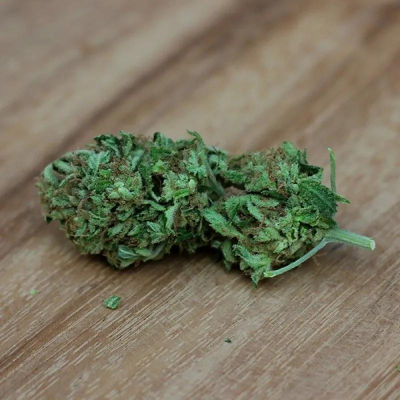 Sweet Harlem Diesel