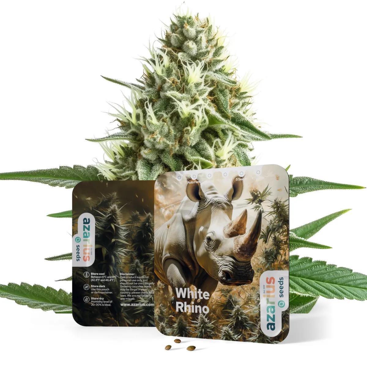 White Rhino Auto
