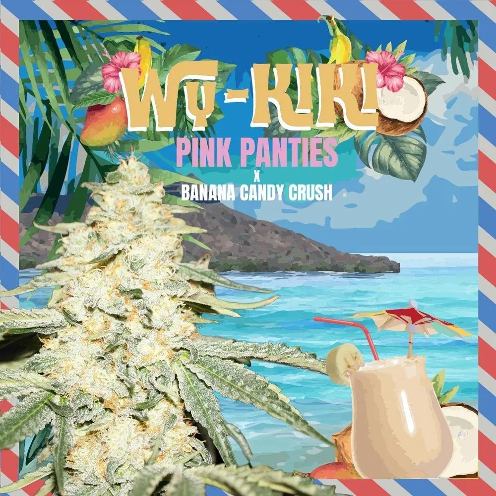 Wy-Kiki (T.H.Seeds)