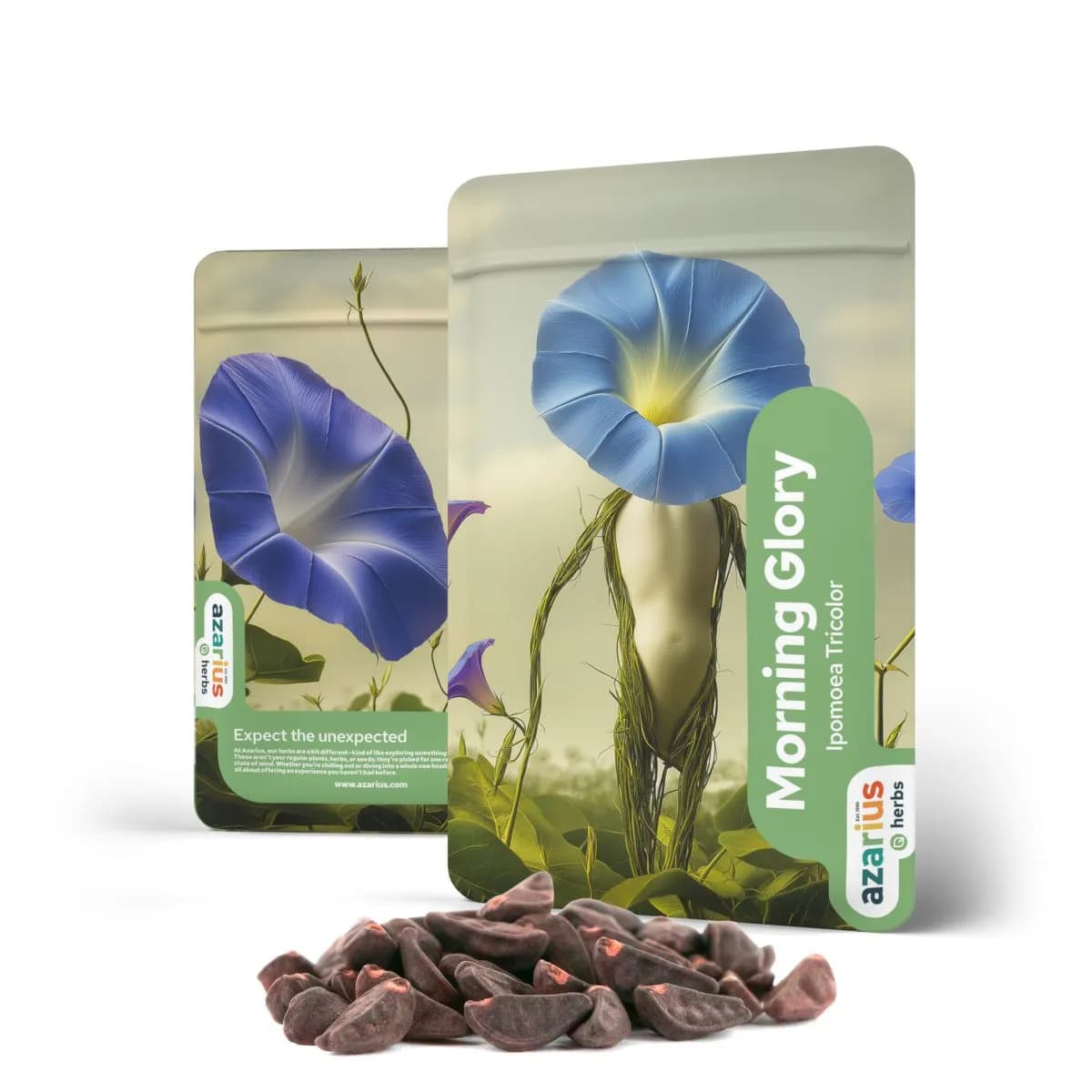 Nasiona Powoju (Morning Glory)