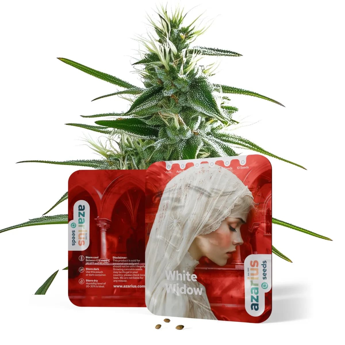 White Widow