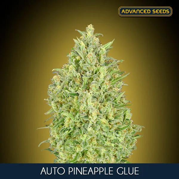 Auto Pineapple Glue