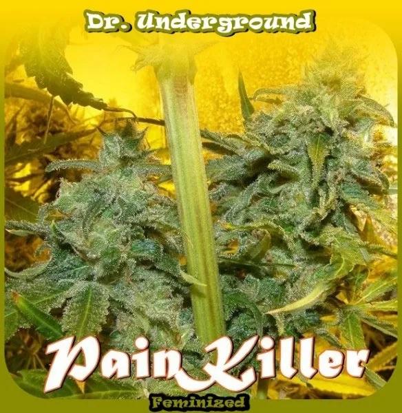 PainKiller