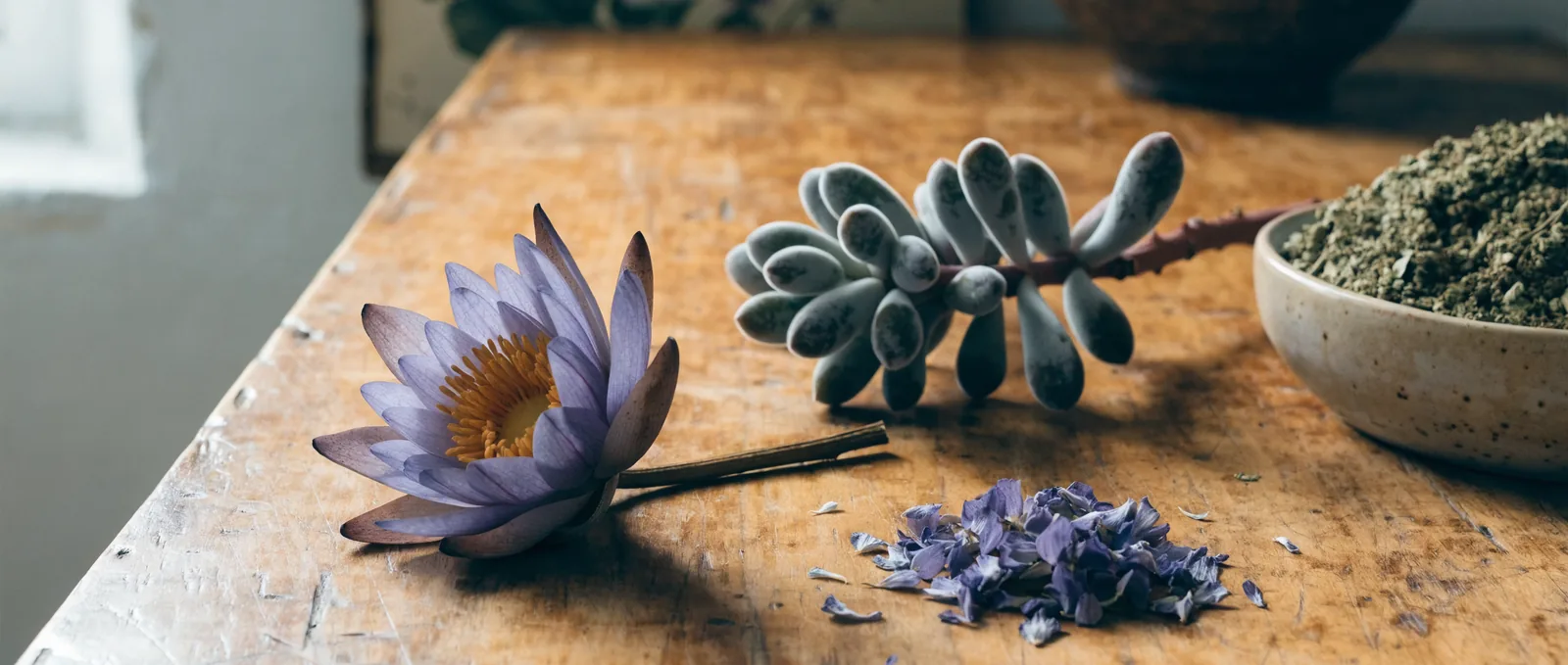 Blue lotus vs kanna — porównanie farmakologiczne