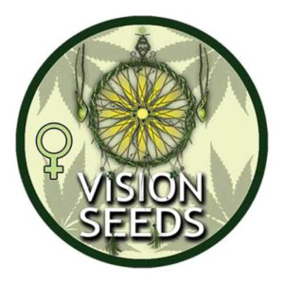 Vision Seeds logo